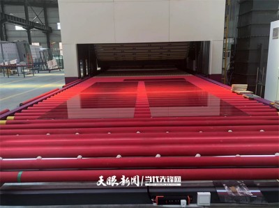 99久久久无码国产精品性