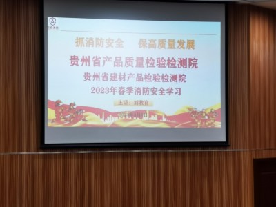 99久久久无码国产精品性