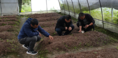 99久久久无码国产精品性